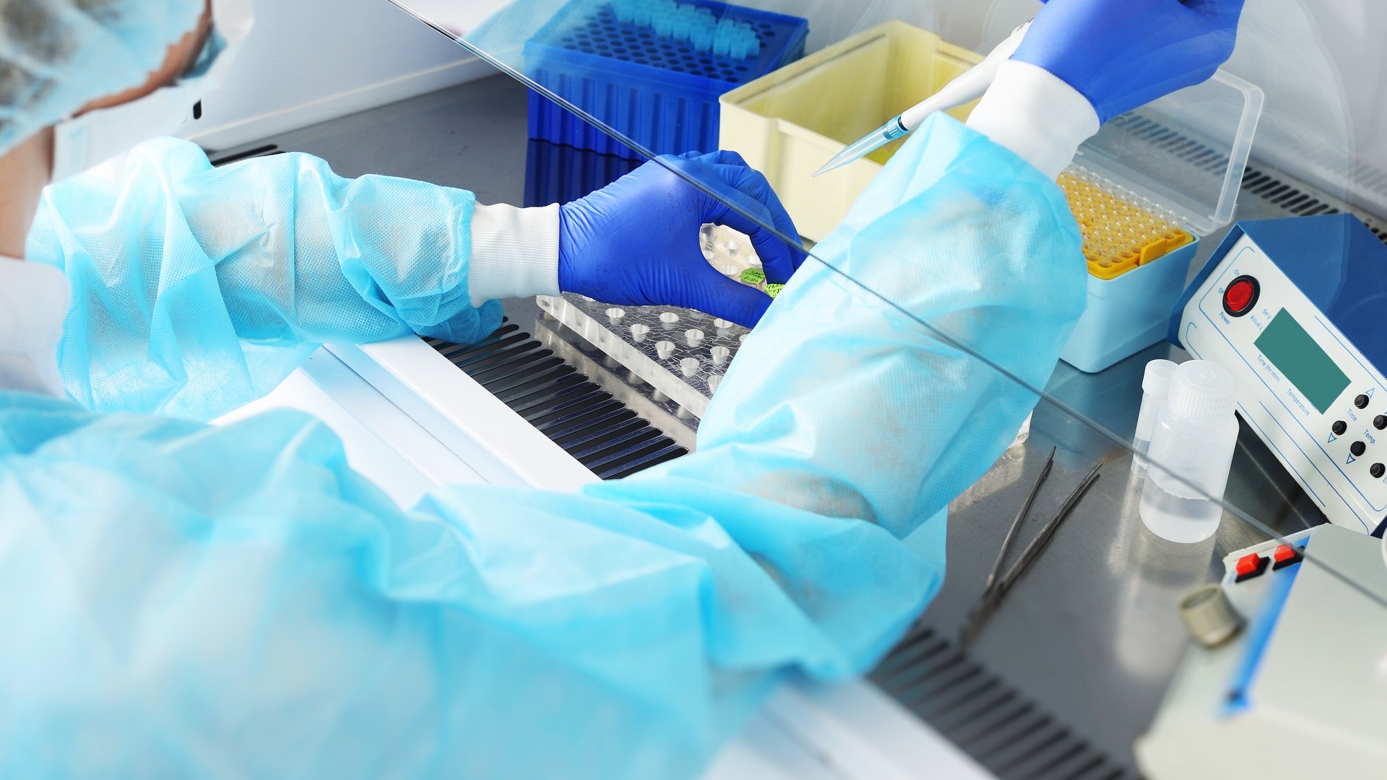 AdobeStock_486713995_1 AdobeStock_486713995_1