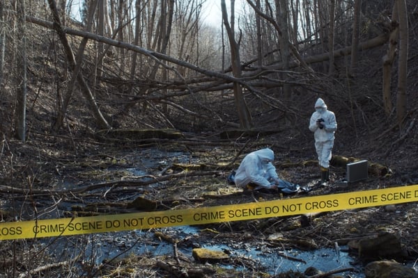 Improving Forensic SNP Outcomes: Case Studies, Sequencing & Approaches